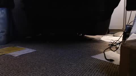 henryjxxx online show from January 2025 04:18:02 PM