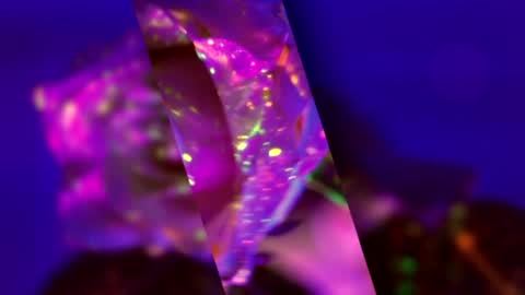 Snapshot of heybanan chatting on March 2026 05:08:01 PM Alina online show from March 2026 05:08:01 PM