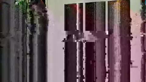 Highandhell online show from February 2026 12:50:02 AM