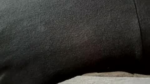 higheguy online show from February 2026 05:46:02 PM