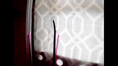 Highnesscali37 online show from December 2024 08:16:01 PM