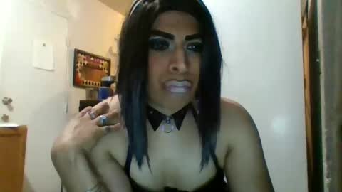 hihheelstranny online show from March 2026 09:10:01 AM