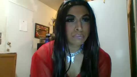 Snapshot of hihheelstranny chatting on April 2026 10:18:01 AM hihheelstranny online show from April 2026 10:18:01 AM
