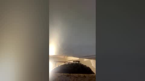 Snapshot of hihihi12hi chatting on May 2026 02:13:02 PM hihihi12hi online show from May 2026 02:13:02 PM