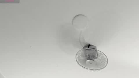 hilary_tailor online show from January 2026 11:02:02 AM