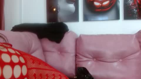 Snapshot of hinataleecs chatting on September 2025 06:02:01 PM hinata lee online show from September 2025 06:02:01 PM