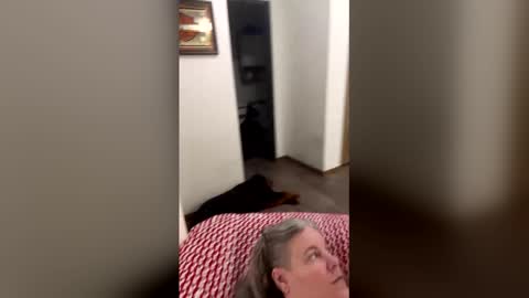 Snapshot of hippysnewhere chatting on April 2026 04:14:02 AM hippysnewhere online show from April 2026 04:14:02 AM