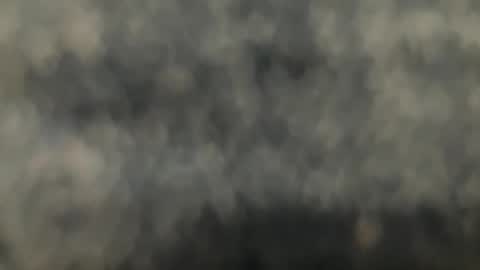 Snapshot of hnr517 chatting on January 2026 06:12:02 PM hnr517 online show from January 2026 06:12:02 PM