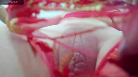 Snapshot of holly_little2 chatting on December 2024 10:21:02 PM Sophie online show from December 2024 10:21:02 PM