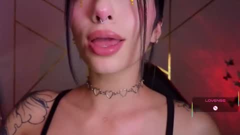 Snapshot of hollyxx_ chatting on October 2025 12:01:02 AM holly online show from October 2025 12:01:02 AM