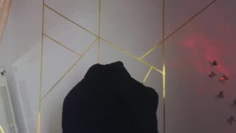 Snapshot of hollyxx_ chatting on November 2025 03:11:01 PM holly online show from November 2025 03:11:01 PM