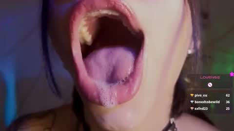 Snapshot of hollyxx_ chatting on February 2026 05:40:02 PM holly online show from February 2026 05:40:02 PM