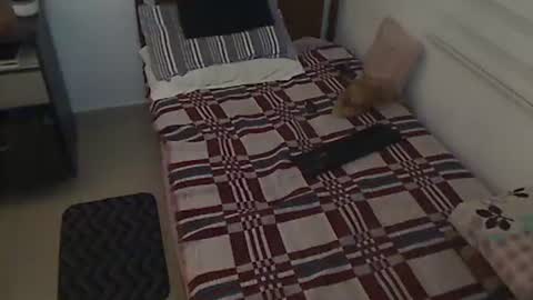 Snapshot of holofernes45gil chatting on March 2026 07:30:02 AM Holofernes45gil online show from March 2026 07:30:02 AM