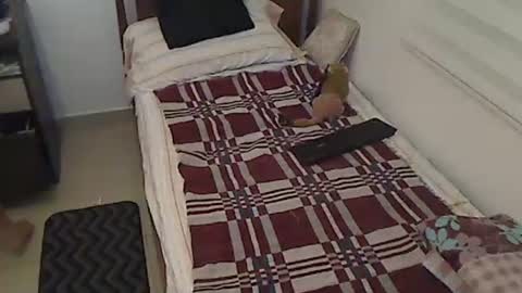 Snapshot of holofernes45gil chatting on April 2026 07:17:01 AM Holofernes45gil online show from April 2026 07:17:01 AM