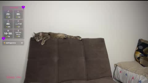 Snapshot of holybabe342 chatting on March 2025 08:21:02 PM Vio online show from March 2025 08:21:02 PM