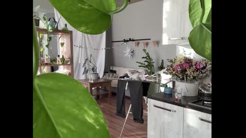 dori not holy get my tg channel with link from description under last photo online show from January 2026 12:40:01 PM