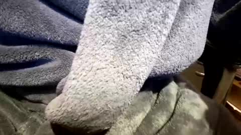 Snapshot of home_office_perks chatting on March 2026 02:21:02 PM Neal online show from March 2026 02:21:02 PM