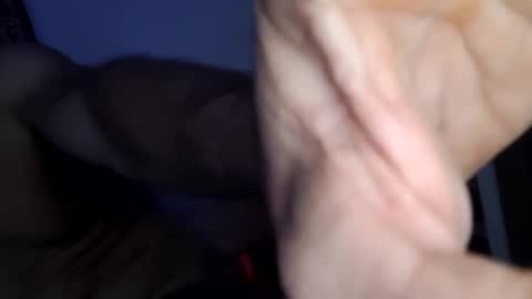 Homer online show from February 2025 10:04:02 PM