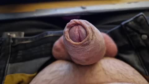 Homer Jay Simpson online show from January 2025 11:45:01 PM