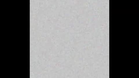 HoneyVelourTS online show from February 2026 06:07:01 PM