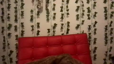 honeyyy89 online show from November 2025 04:37:01 AM