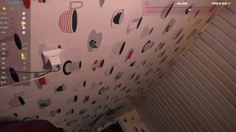 the perfectgirl online show from December 2024 12:13:02 PM