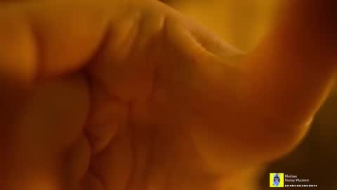 Horney Jozy online show from November 2025 06:52:02 PM