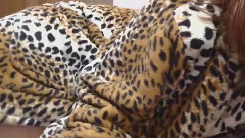 Snapshot of horny_hey chatting on February 2025 10:20:02 PM Serena online show from February 2025 10:20:02 PM