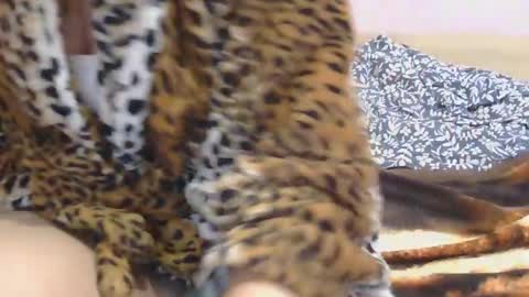 Snapshot of horny_hey chatting on March 2025 02:43:02 PM Serena online show from March 2025 02:43:02 PM