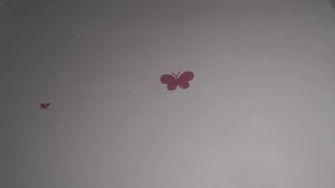 Iris online show from February 2026 07:18:01 PM