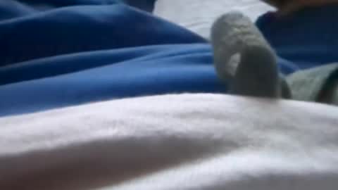 Tiny cock online show from July 2026 01:32:02 AM