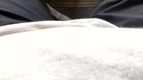 Tiny cock online show from July 2026 11:37:02 AM