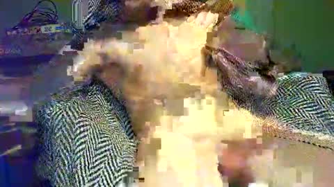 hornycocxxx online show from March 2025 01:14:02 AM