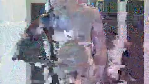 HornyGringo online show from November 2025 03:27:02 AM