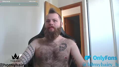 Snapshot of hornyhairy_bi chatting on April 2026 11:44:02 AM Harry online show from April 2026 11:44:02 AM