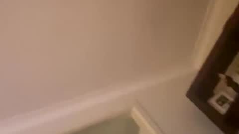 Snapshot of hornyonelooking1 chatting on December 2025 12:32:01 PM hornyonelooking1 online show from December 2025 12:32:01 PM