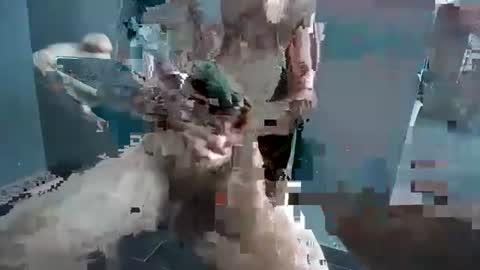 Snapshot of hornyrippa chatting on December 2024 01:23:01 AM Hornyrippa online show from December 2024 01:23:01 AM