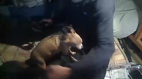 Snapshot of hornyscott666 chatting on March 2026 09:04:01 AM hornyscott666 online show from March 2026 09:04:01 AM