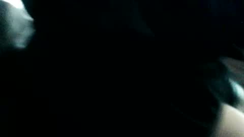 horsesaslife online show from March 2026 08:24:02 PM