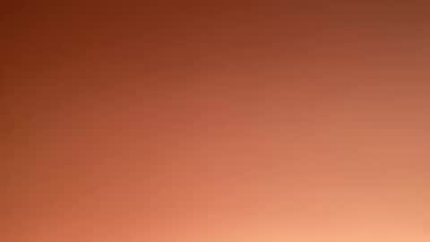 Marcus  Tatti  online show from February 2025 04:57:01 PM