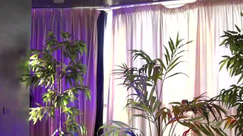 Snapshot of hotbustybabex chatting on September 2025 06:15:01 AM Anais online show from September 2025 06:15:01 AM