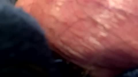 hotdog1124 online show from January 2025 01:09:02 AM