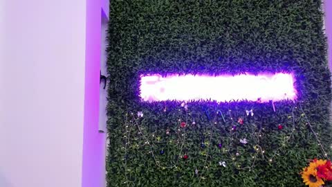 hotfallingdevil online show from December 2025 07:15:02 AM