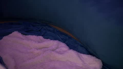 Anais online show from December 2024 12:06:02 PM