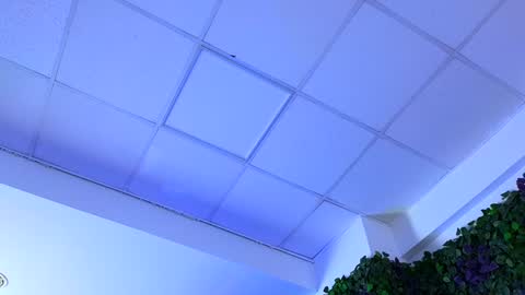 Anais online show from January 2025 09:23:01 AM