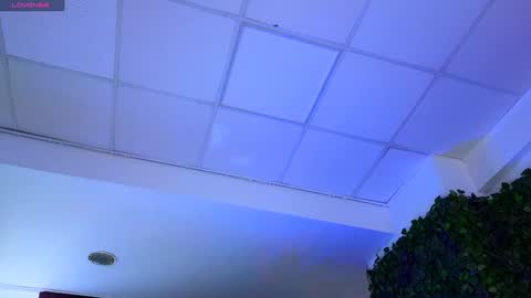 Anais online show from January 2025 12:37:02 PM