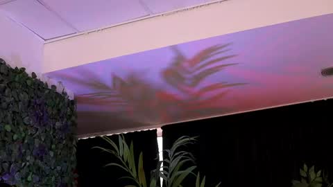 Anais online show from February 2025 06:07:01 AM