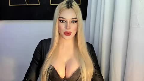 STELLA online show from November 2025 11:40:02 AM