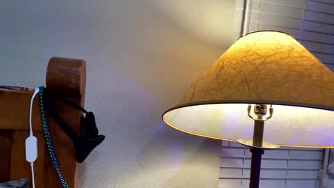 hottiewithabody101 online show from January 2026 01:49:01 PM