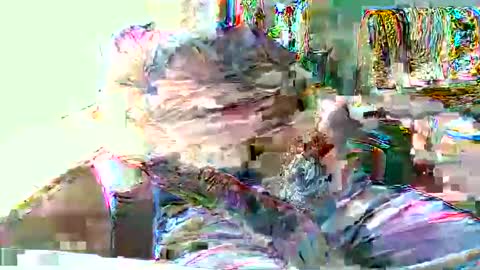 Snapshot of hottop_1981 chatting on April 2026 04:39:01 PM Hottop 1981 online show from April 2026 04:39:01 PM